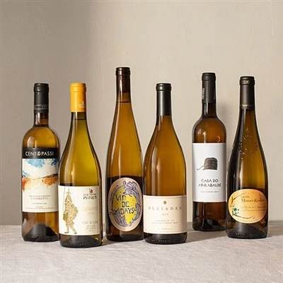 June US Wine Bottle Market Analysis Report